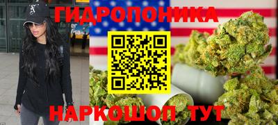 индика Канаш